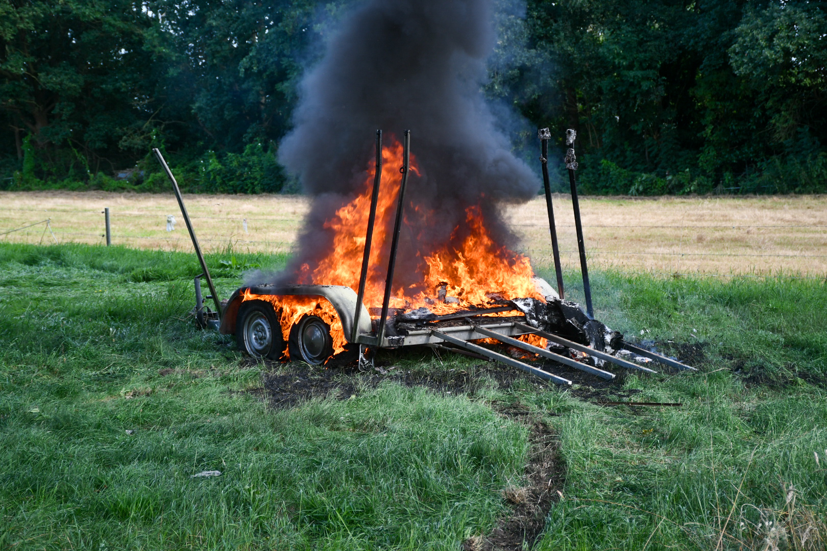 7QnINi6i8ADe-DSC_3794.jpg