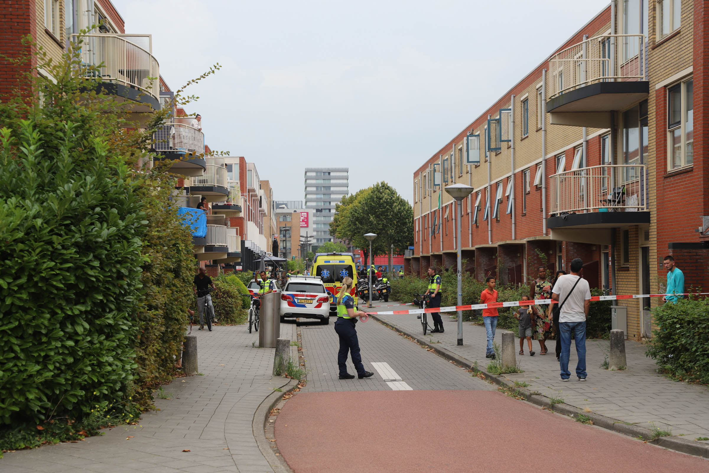 9XA6lzVSp0k1-20240903Jelle-Laan.jpg