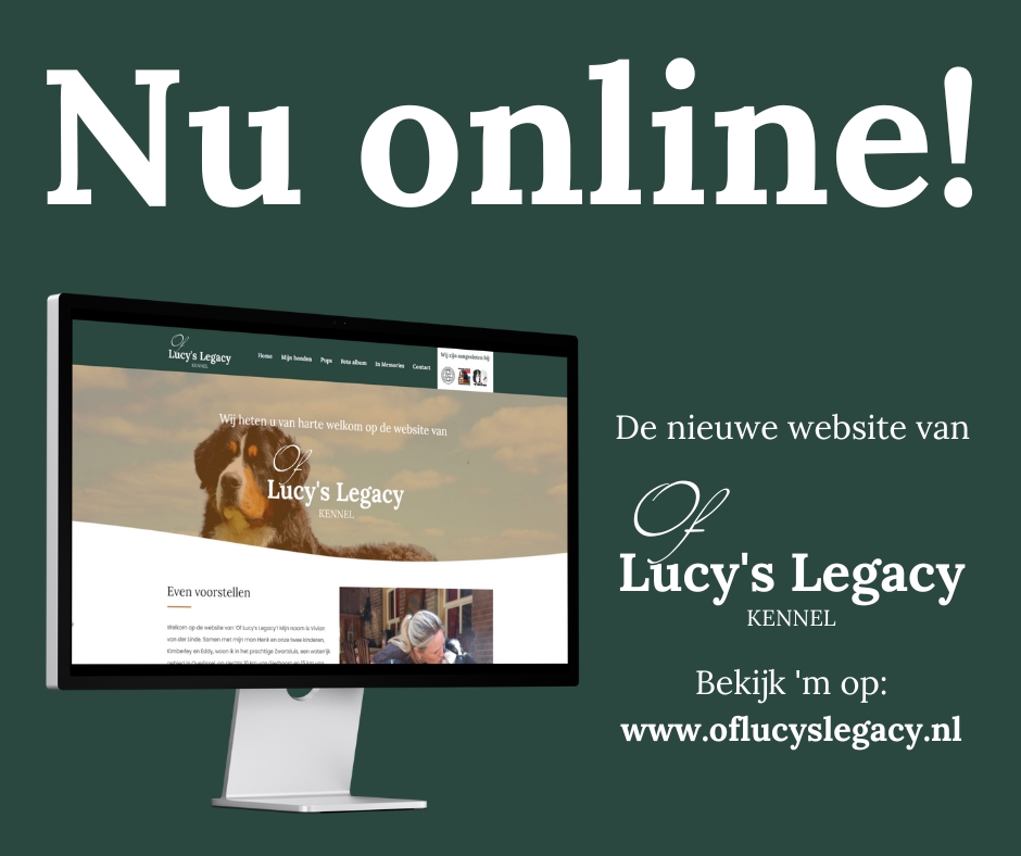 DPC1xHlYOCK5-Nu-online.jpg