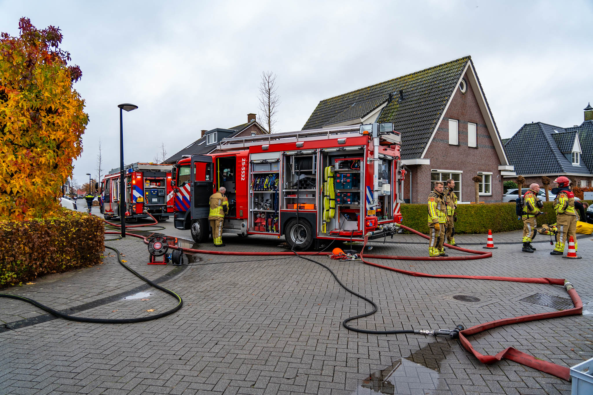 GsnXvd2Z43Tx-IMG_1184.jpg