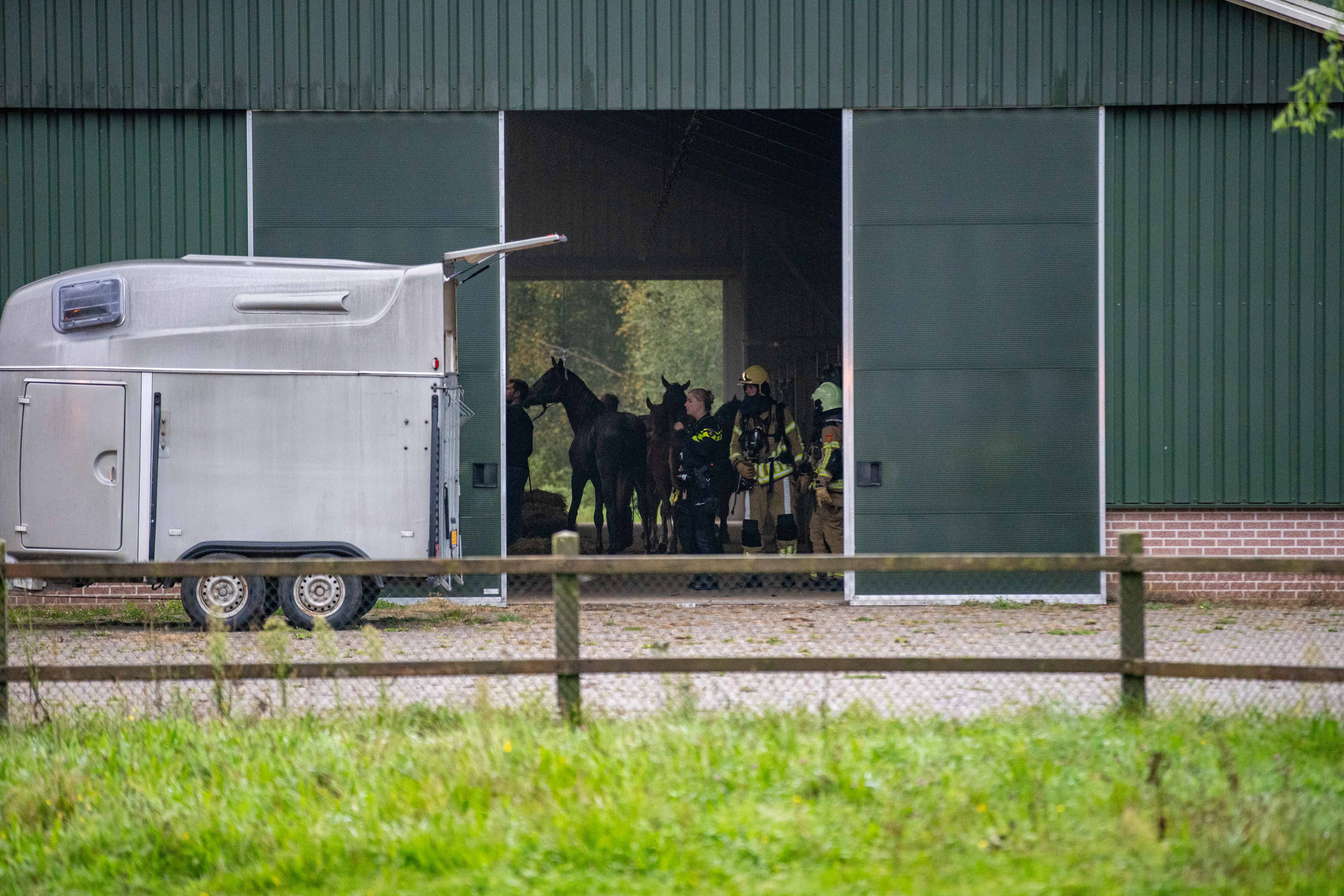 Hdk7SV55G5xE-brand-manege-schalkhaar-3.jpg