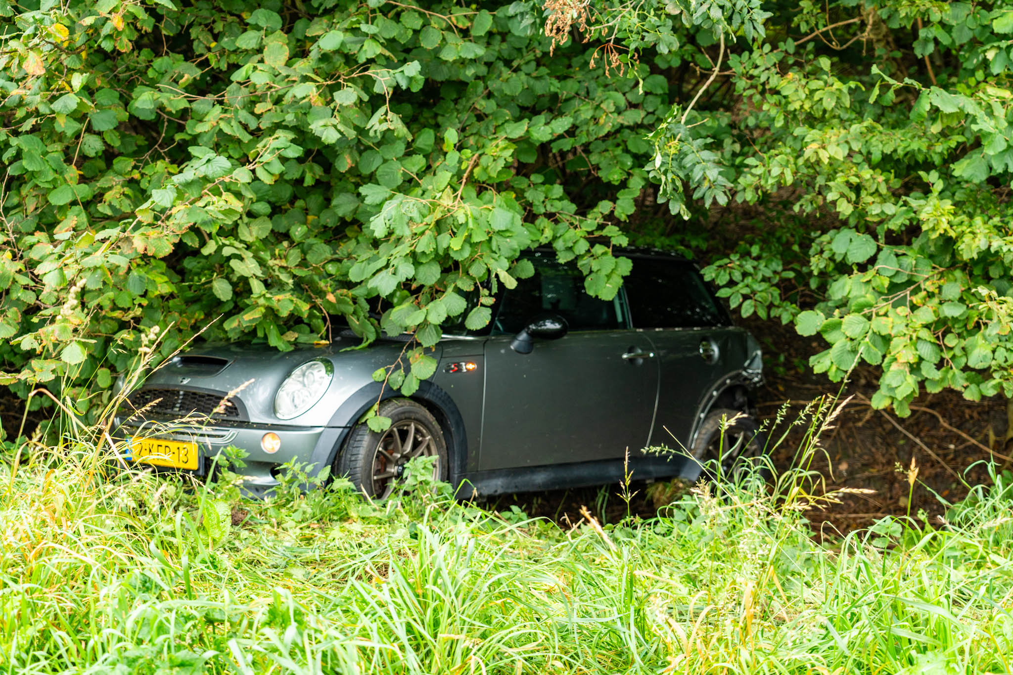 PxTCWIC8DLVl-IMG_9496.jpg